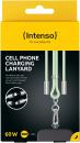 Intenso Cell Phone Charging Lanyard Handykette als Ladekabel Datenkabel 2 x USB-C bis 1,65m grün
