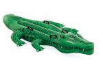 Intex Wasser Spielzeug Ride-On Krokodil Giant Gator 203cm x 114cm ab 3 Jahren 58562NP